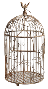 Cage bird PNG-41404